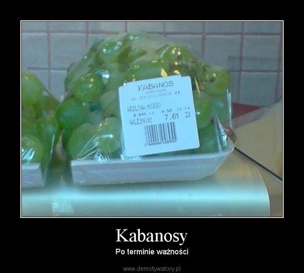 Kabanosy