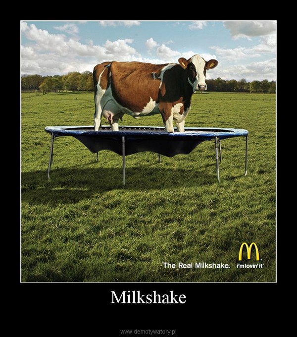 Milkshake –       