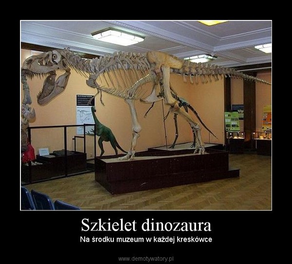 Szkielet dinozaura – Na środku muzeum w każdej kreskówce 