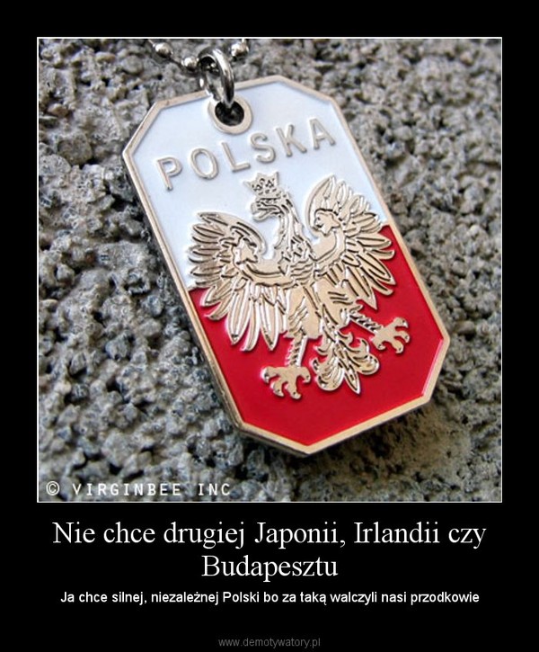 Nie chce drugiej Japonii, Irlandii czy Budapesztu – Ja chce silnej, niezależnej Polski bo za taką walczyli nasi przodkowie 