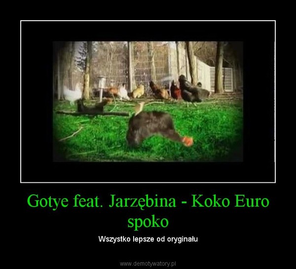 Gotye feat. Jarzębina - Koko Euro spoko – Wszystko lepsze od oryginału 