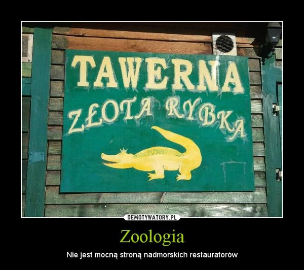Zoologia – Nie jest mocną stroną nadmorskich restauratorów 