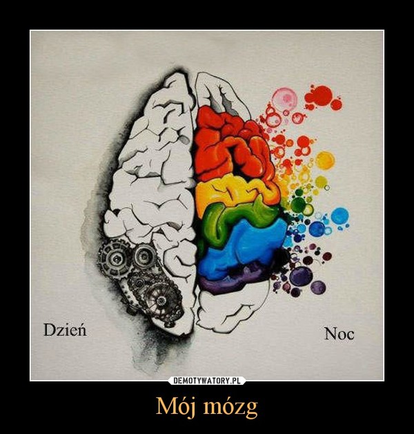 Mój mózg –  