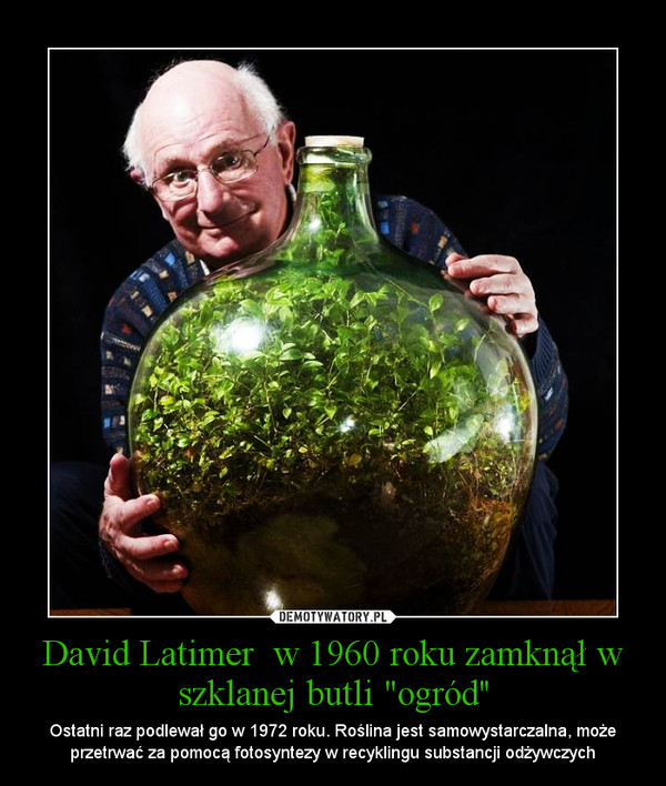 David Latimer  w 1960 roku zamknął w szklanej butli "ogród''