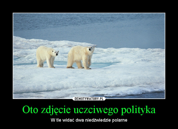 Oto zdjęcie uczciwego polityka – W tle widać dwa niedźwiedzie polarne 