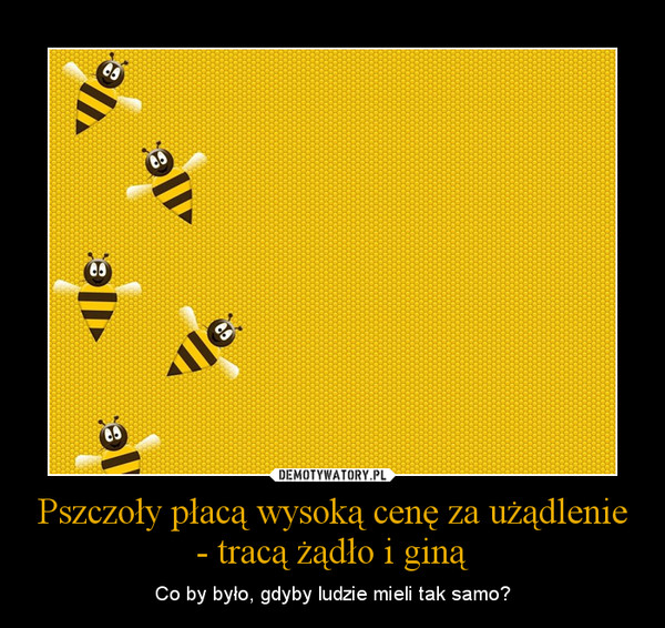 Pszczoły płacą wysoką cenę za użądlenie - tracą żądło i giną
