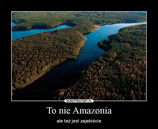 To nie Amazonia – ale też jest zajebiście 