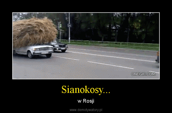 Sianokosy... – w Rosji 