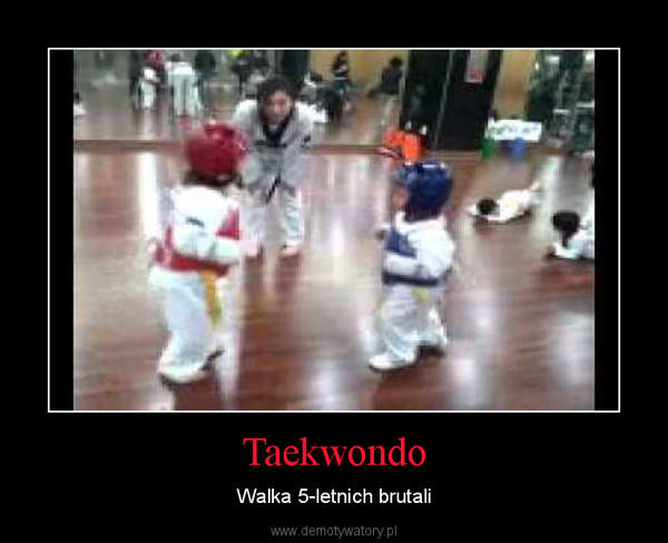 Taekwondo – Walka 5-letnich brutali 