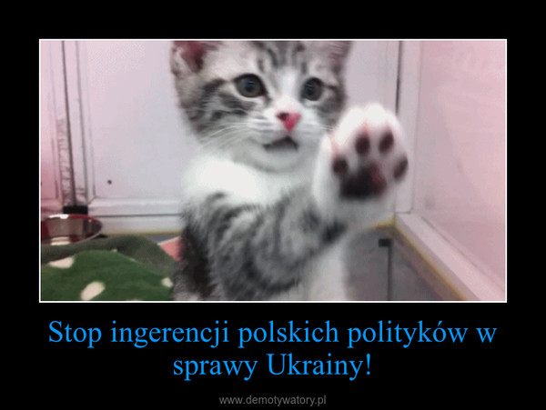 Stop ingerencji polskich polityków w sprawy Ukrainy! –  