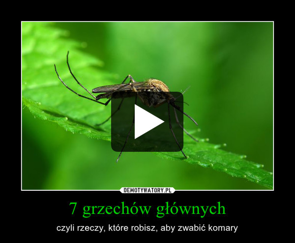 7 grzechów głównych – czyli rzeczy, które robisz, aby zwabić komary 