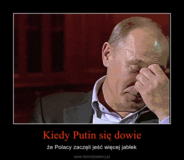 Kiedy Putin się dowie – że Polacy zaczęli jeść więcej jabłek 