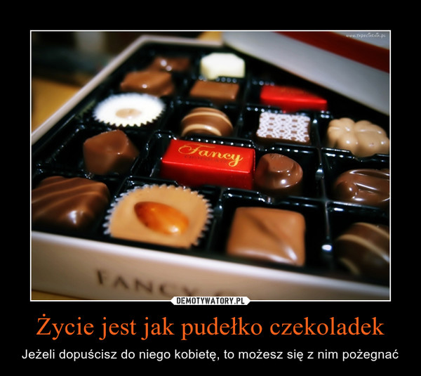 Życie jest jak pudełko czekoladek – Jeżeli dopuścisz do niego kobietę, to możesz się z nim pożegnać 