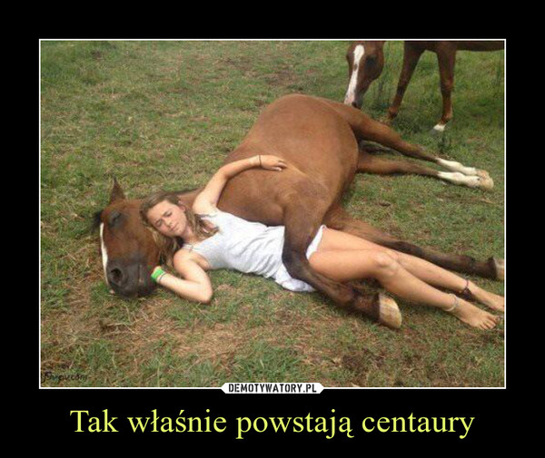 Tak właśnie powstają centaury –  