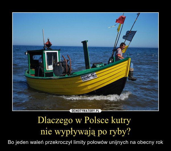 Dlaczego w Polsce kutry 
nie wypływają po ryby?