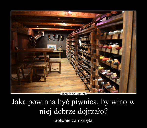 Jaka powinna być piwnica, by wino w niej dobrze dojrzało?