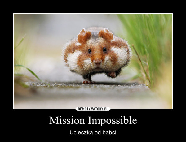Mission Impossible – Ucieczka od babci 