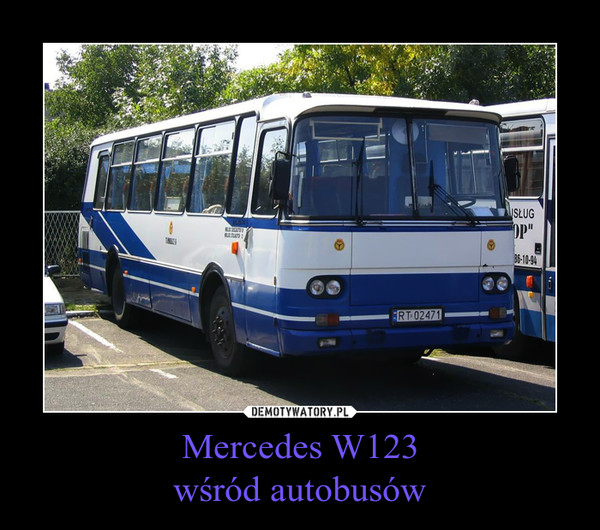 Mercedes W123wśród autobusów –  