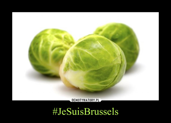 #JeSuisBrussels
