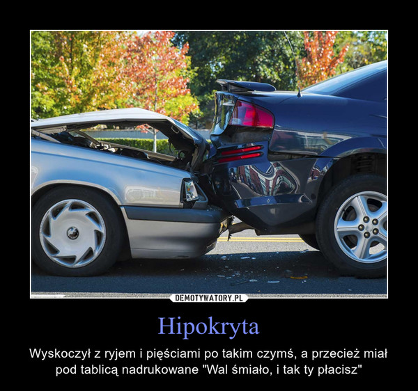 Hipokryta