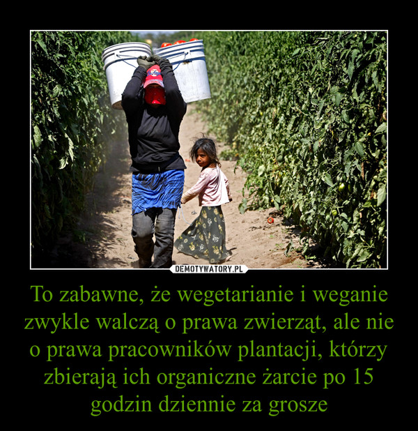 To zabawne, że wegetarianie i weganie zwykle walczą o prawa zwierząt, ale nie o prawa pracowników plantacji, którzy zbierają ich organiczne żarcie po 15 godzin dziennie za grosze –  