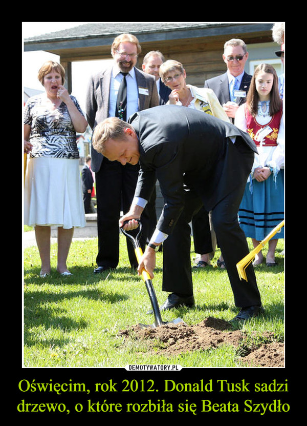 Oświęcim, rok 2012. Donald Tusk sadzi drzewo, o które rozbiła się Beata Szydło –  