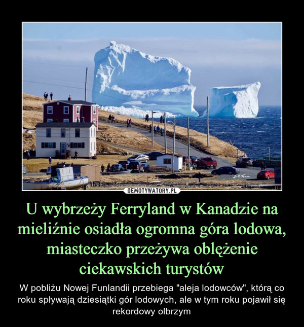 U wybrzeży Ferryland w Kanadzie na mieliźnie osiadła ogromna góra lodowa, miasteczko przeżywa oblężenie ciekawskich turystów