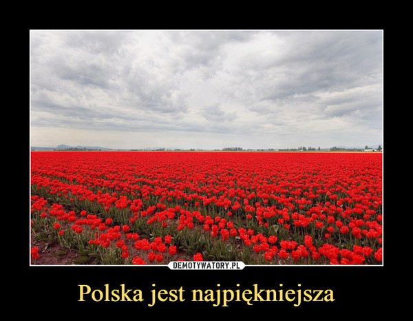 Polska jest najpiękniejsza –  