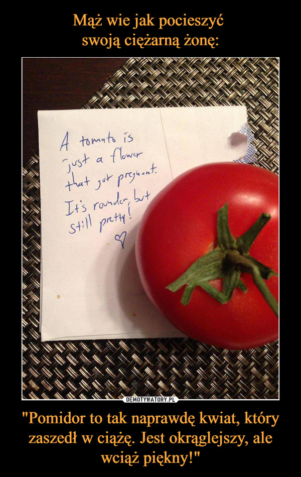 "Pomidor to tak naprawdę kwiat, który zaszedł w ciążę. Jest okrąglejszy, ale wciąż piękny!" –  