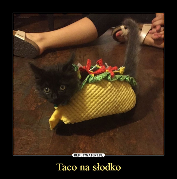 Taco na słodko –  