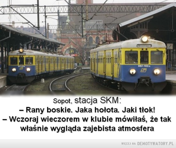 Punkt widzenia –  Sopot, stacja SKM:- Rany boskie. Jaka hołota. Jaki tłok!- Wczoraj wieczorem w klubie mówiłaś, że takwłaśnie wygląda zajebista atmosfera