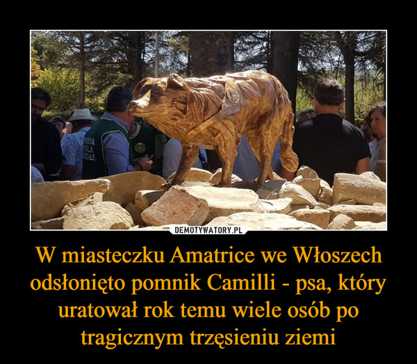 W miasteczku Amatrice we Włoszech odsłonięto pomnik Camilli - psa, który uratował rok temu wiele osób po tragicznym trzęsieniu ziemi –  