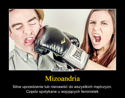 Mizoandria
