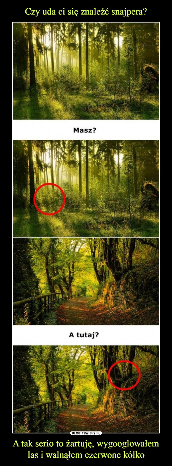 A tak serio to żartuję, wygooglowałem las i walnąłem czerwone kółko –  Masz?A tutaj?