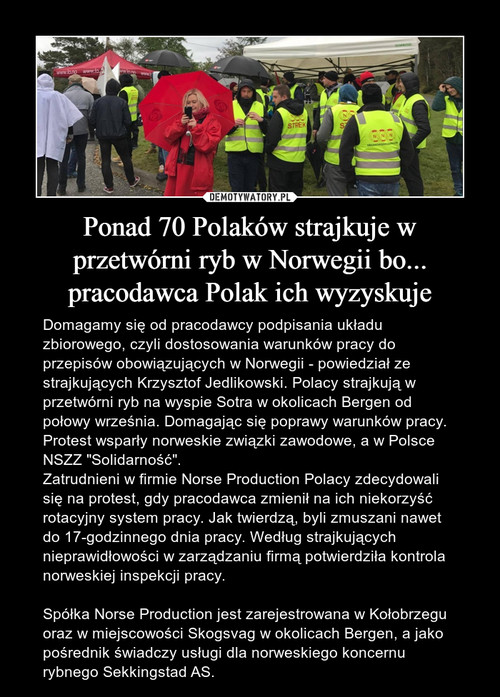 Ponad 70 Polaków strajkuje w przetwórni ryb w Norwegii bo... pracodawca Polak ich wyzyskuje
