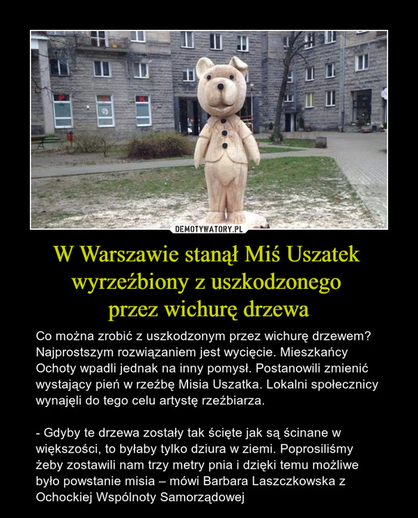 W Warszawie stanął Miś Uszatek 
wyrzeźbiony z uszkodzonego 
przez wichurę drzewa