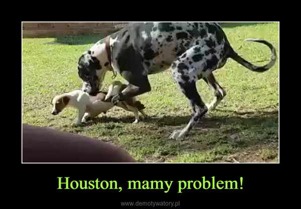 Houston, mamy problem! –  