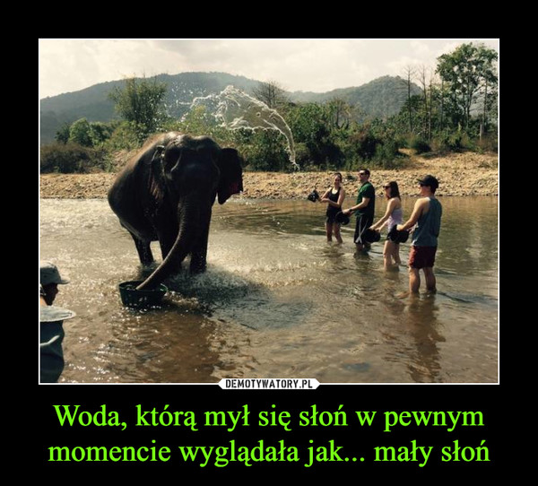 Woda, którą mył się słoń w pewnym momencie wyglądała jak... mały słoń –  