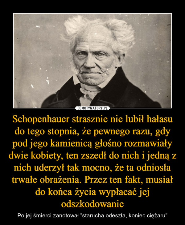 Schopenhauer strasznie nie lubił hałasu do tego stopnia, że pewnego razu, gdy pod jego kamienicą głośno rozmawiały dwie kobiety, ten zszedł do nich i jedną z nich uderzył tak mocno, że ta odniosła trwałe obrażenia. Przez ten fakt, musiał do końca życia wypłacać jej odszkodowanie