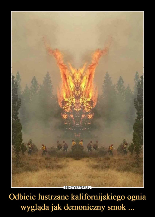 Odbicie lustrzane kalifornijskiego ognia wygląda jak demoniczny smok ... –  