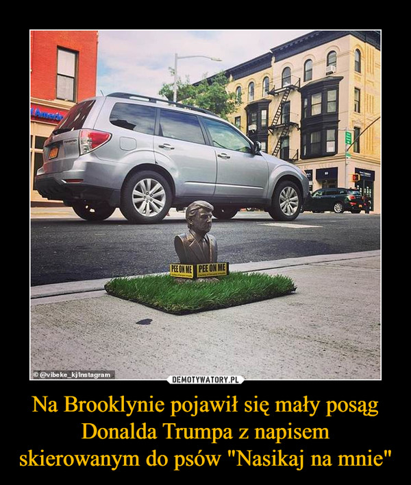 Na Brooklynie pojawił się mały posąg Donalda Trumpa z napisem skierowanym do psów "Nasikaj na mnie" –  