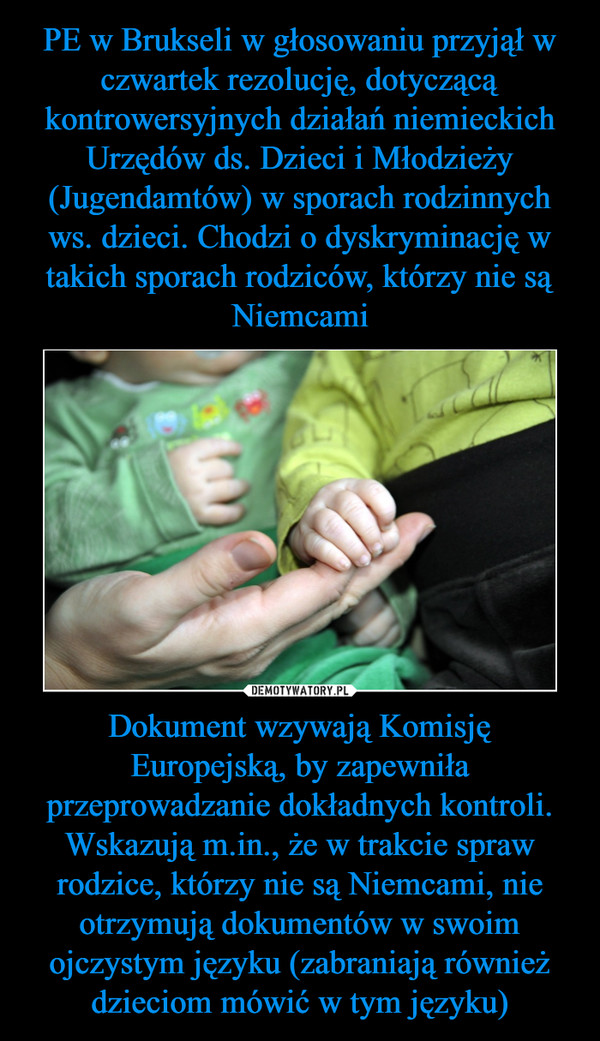Dokument wzywają Komisję Europejską, by zapewniła przeprowadzanie dokładnych kontroli. Wskazują m.in., że w trakcie spraw rodzice, którzy nie są Niemcami, nie otrzymują dokumentów w swoim ojczystym języku (zabraniają również dzieciom mówić w tym języku) –  
