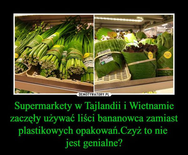 Supermarkety w Tajlandii i Wietnamie zaczęły używać liści bananowca zamiast plastikowych opakowań.Czyż to nie jest genialne? –  