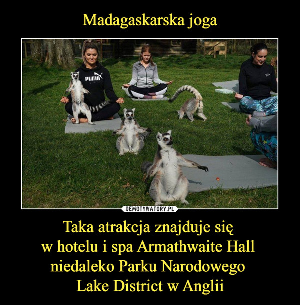 Madagaskarska joga Taka atrakcja znajduje się 
w hotelu i spa Armathwaite Hall 
niedaleko Parku Narodowego 
Lake District w Anglii