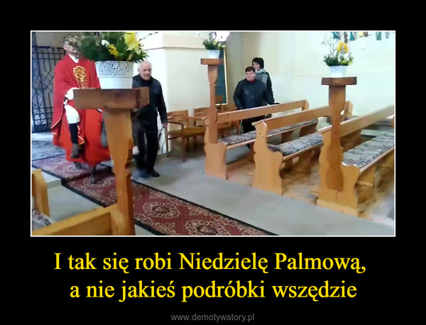 I tak się robi Niedzielę Palmową, a nie jakieś podróbki wszędzie –  