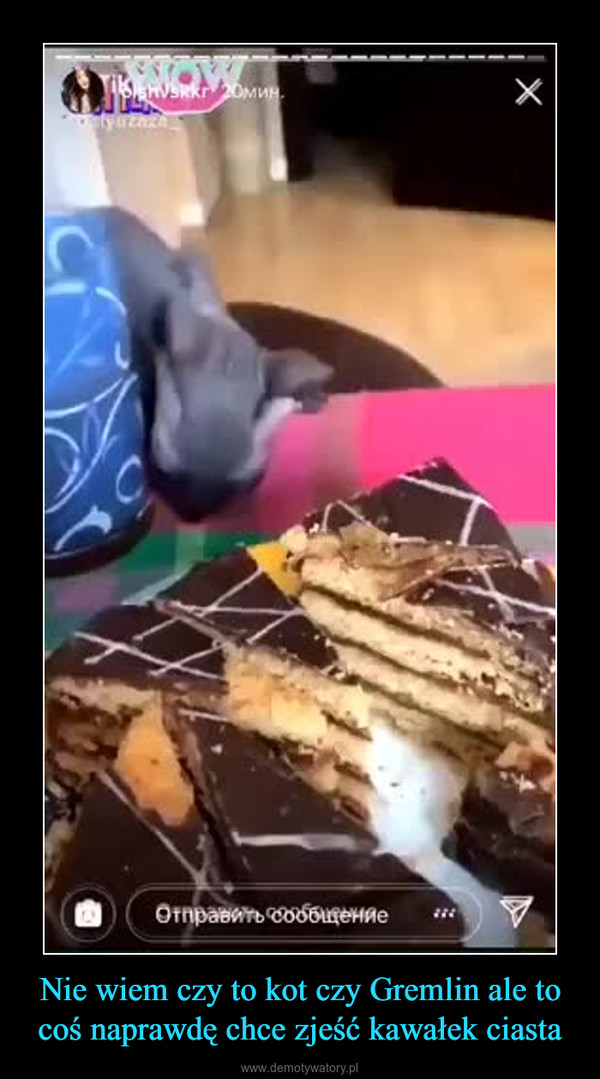 Nie wiem czy to kot czy Gremlin ale to coś naprawdę chce zjeść kawałek ciasta –  