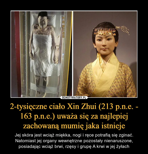 2-tysięczne ciało Xin Zhui (213 p.n.e. - 163 p.n.e.) uważa się za najlepiej zachowaną mumię jaka istnieje – Jej skóra jest wciąż miękka, nogi i ręce potrafią się zginać. Natomiast jej organy wewnętrzne pozostały nienaruszone, posiadając wciąż brwi, rzęsy i grupę A krwi w jej żyłach 