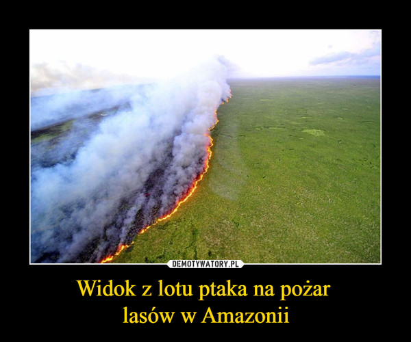 Widok z lotu ptaka na pożar 
lasów w Amazonii