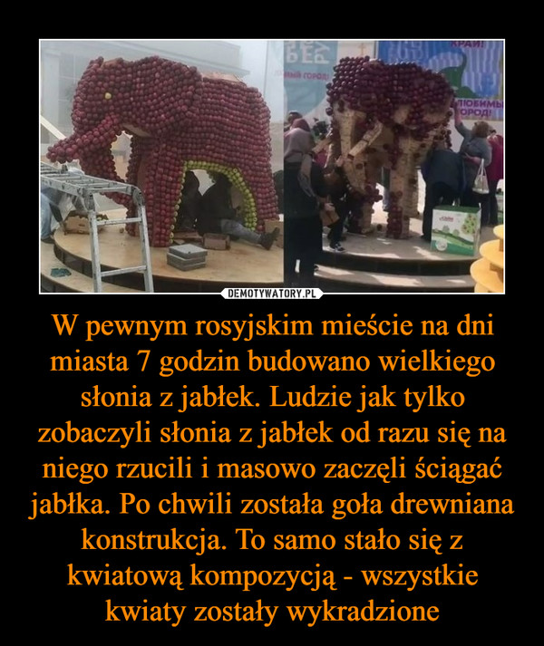 W pewnym rosyjskim mieście na dni miasta 7 godzin budowano wielkiego słonia z jabłek. Ludzie jak tylko zobaczyli słonia z jabłek od razu się na niego rzucili i masowo zaczęli ściągać jabłka. Po chwili została goła drewniana konstrukcja. To samo stało się z kwiatową kompozycją - wszystkie kwiaty zostały wykradzione –  