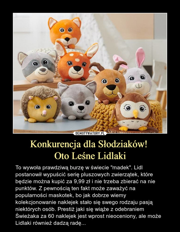 Konkurencja dla Słodziaków! 
Oto Leśne Lidlaki